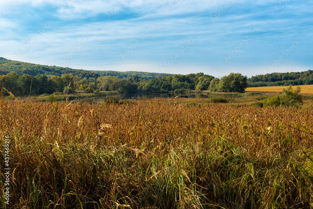 Landscape with a field with soybeans and wildlife