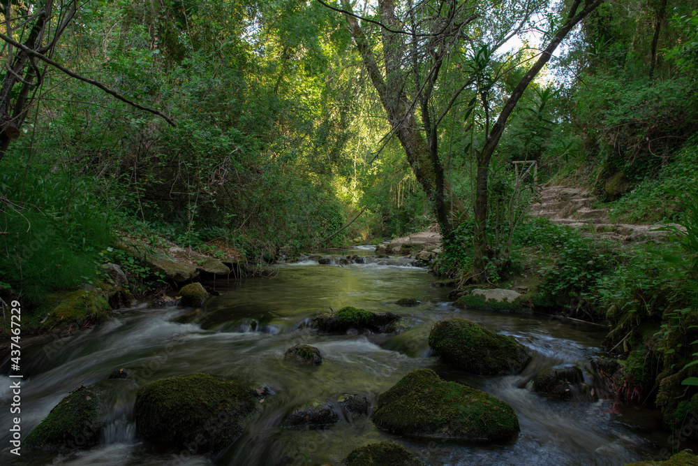 Río Majaceite, en el parque natural de Grazalema, provincia de Cádiz, España.