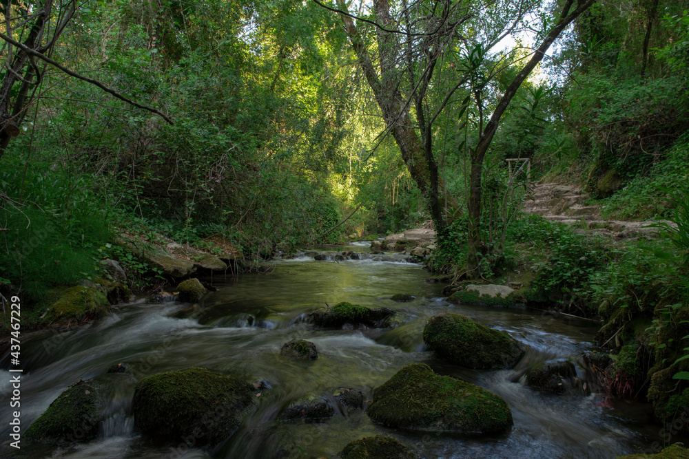 Río Majaceite, en el parque natural de Grazalema, provincia de Cádiz, España. Río Majaceite, en el parque natural de Grazalema, provincia de Cádiz, España.