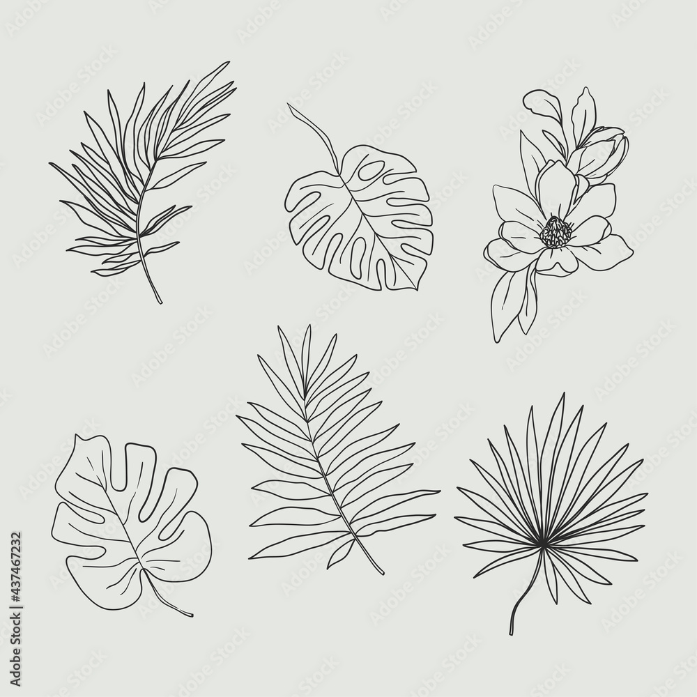 Set of tropical vector leaves isolated on white background. Vector illustration