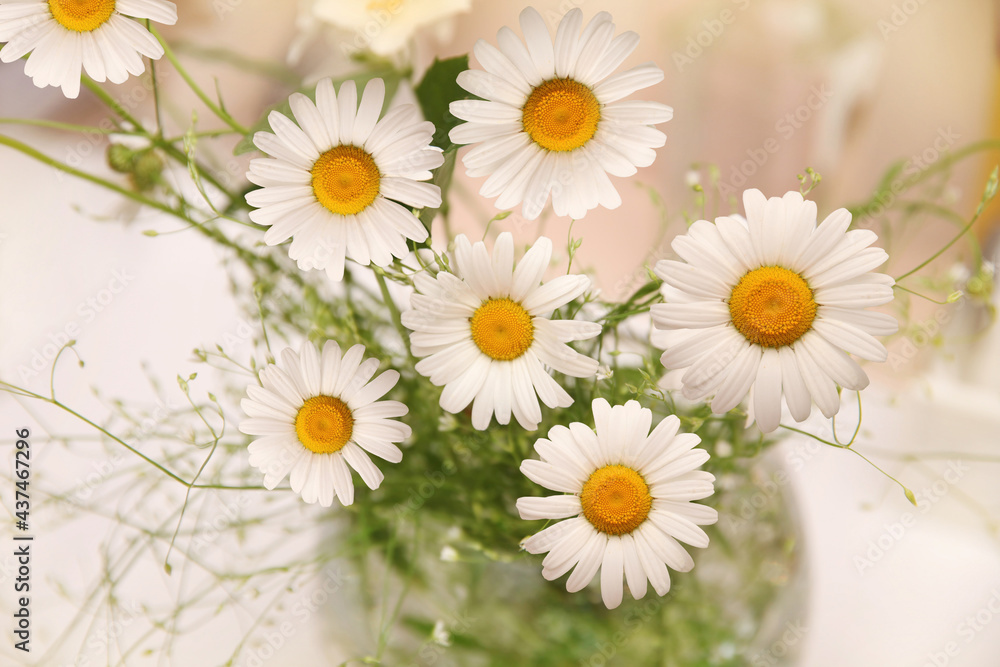 Obraz premium Fragrant large bouquet of daisies in a glass vase