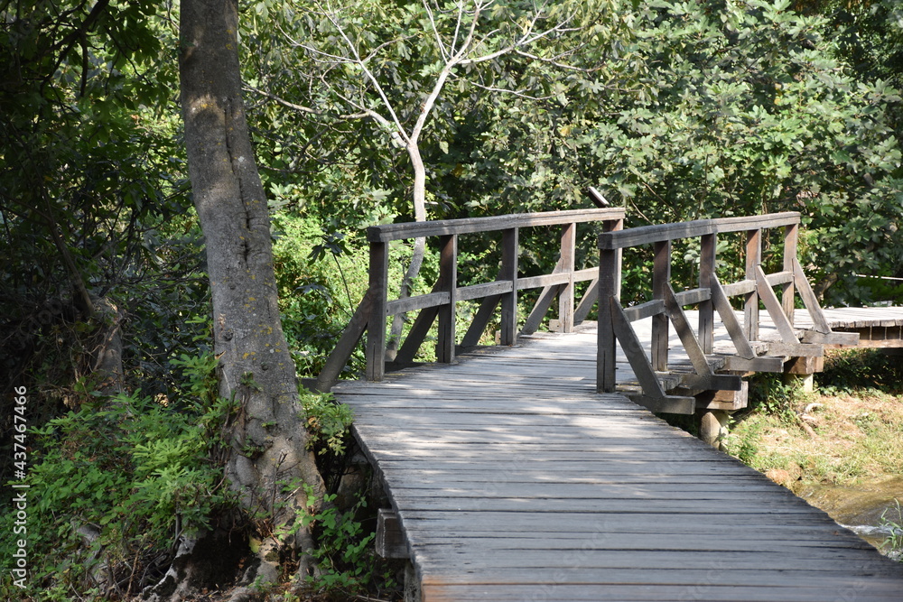 wooden bridge in the woods wooden bridge in the woods