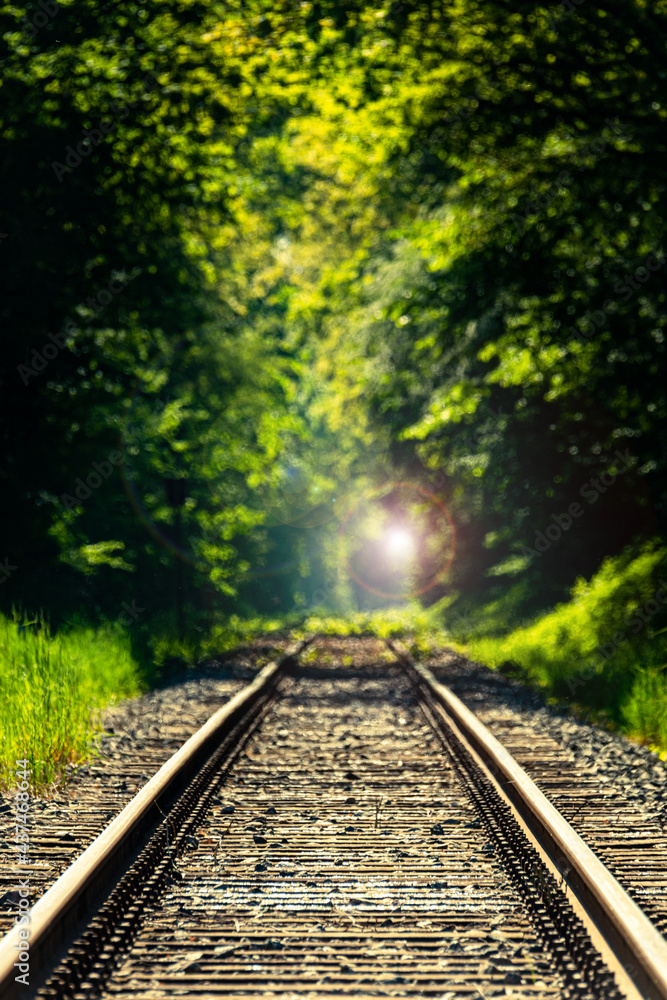 Fototapeta premium Schienen