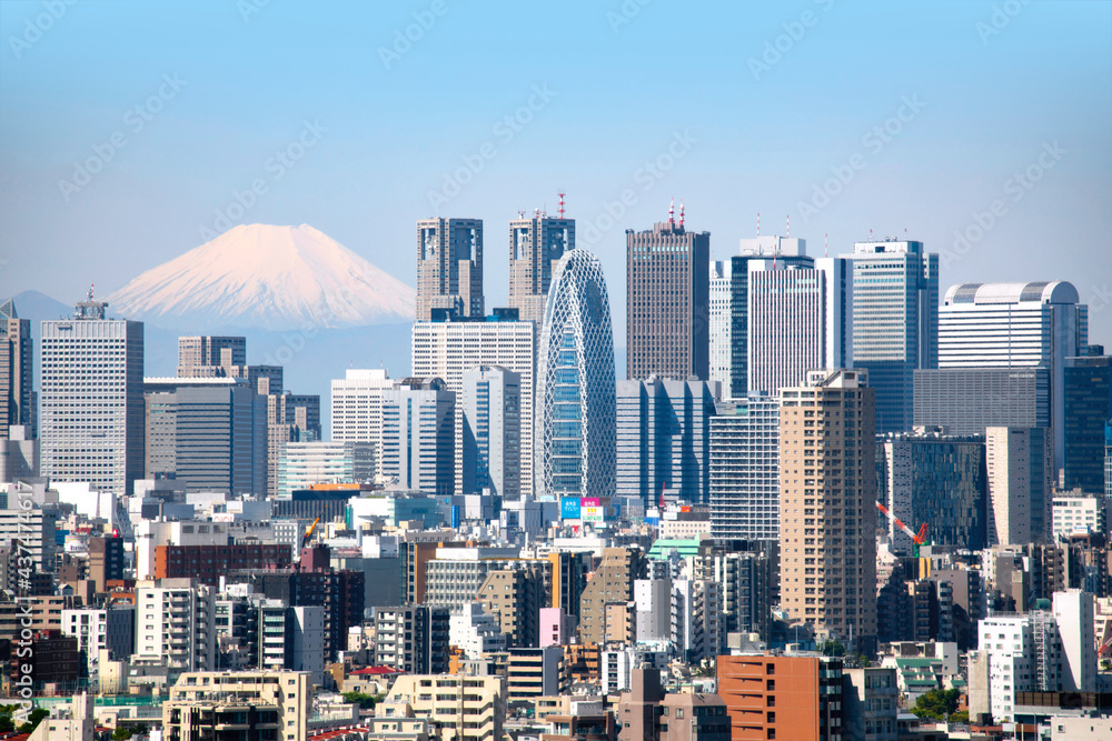 Obraz premium 東京 新宿の高層ビル群と富士山