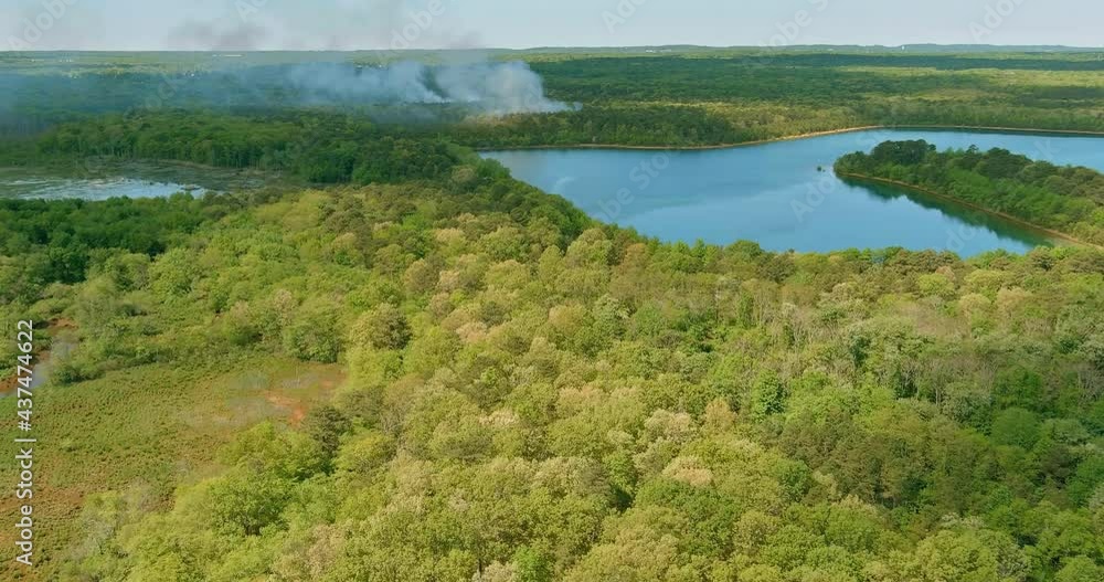 A smoke coming from a trees on fire in the forest near lake A smoke coming from a trees on fire in the forest near lake