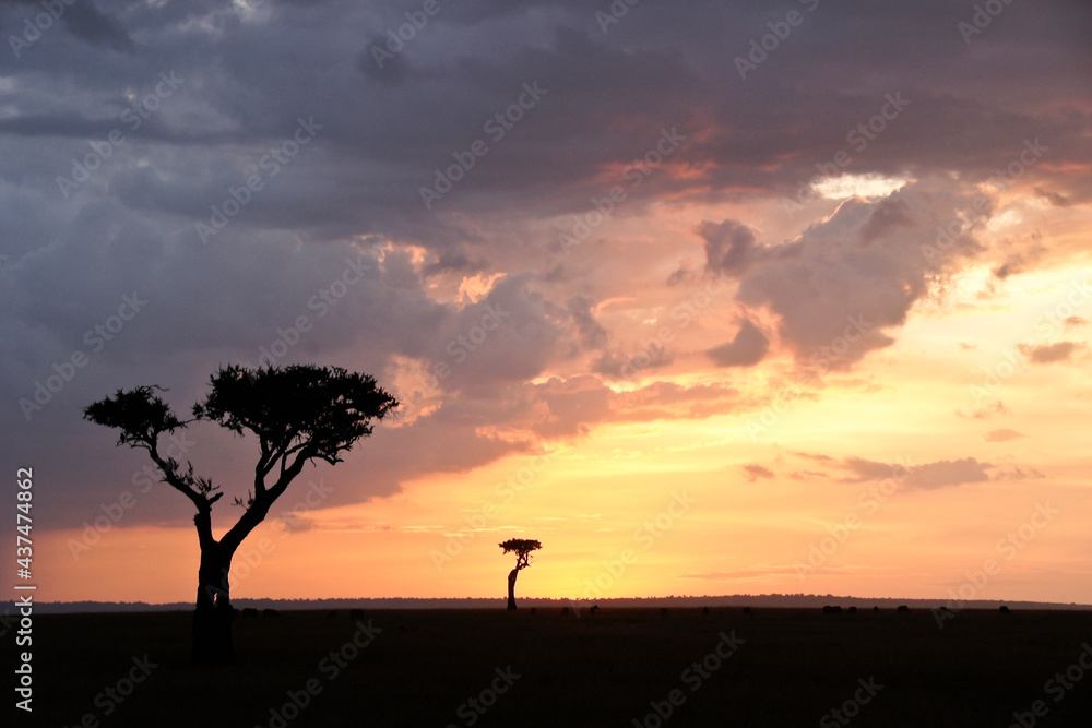 Sunset in the Masai Mara Game Reserve, Kenya