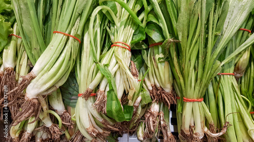 Eryngium foetidum is tied with rubber bands for sale in the Thai market.