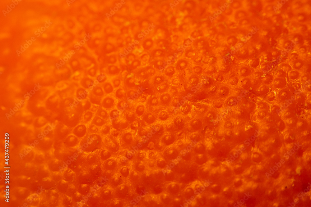 macro photo of an orange showing beautiful skin/peel texture macro photo of an orange showing beautiful skin/peel texture