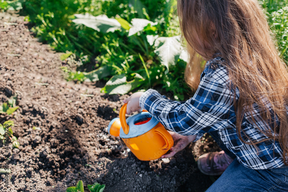 Fototapeta premium Beautiful little girl watering strawberry seedlings with a watering can. The concept of nature conservation and agriculture.