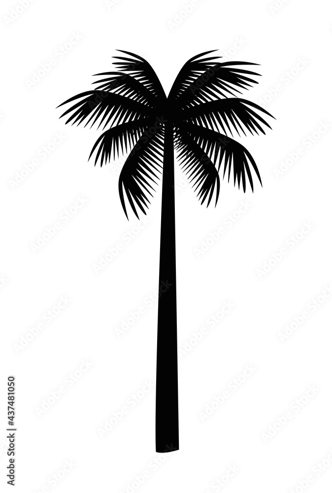 tree palm silhouette