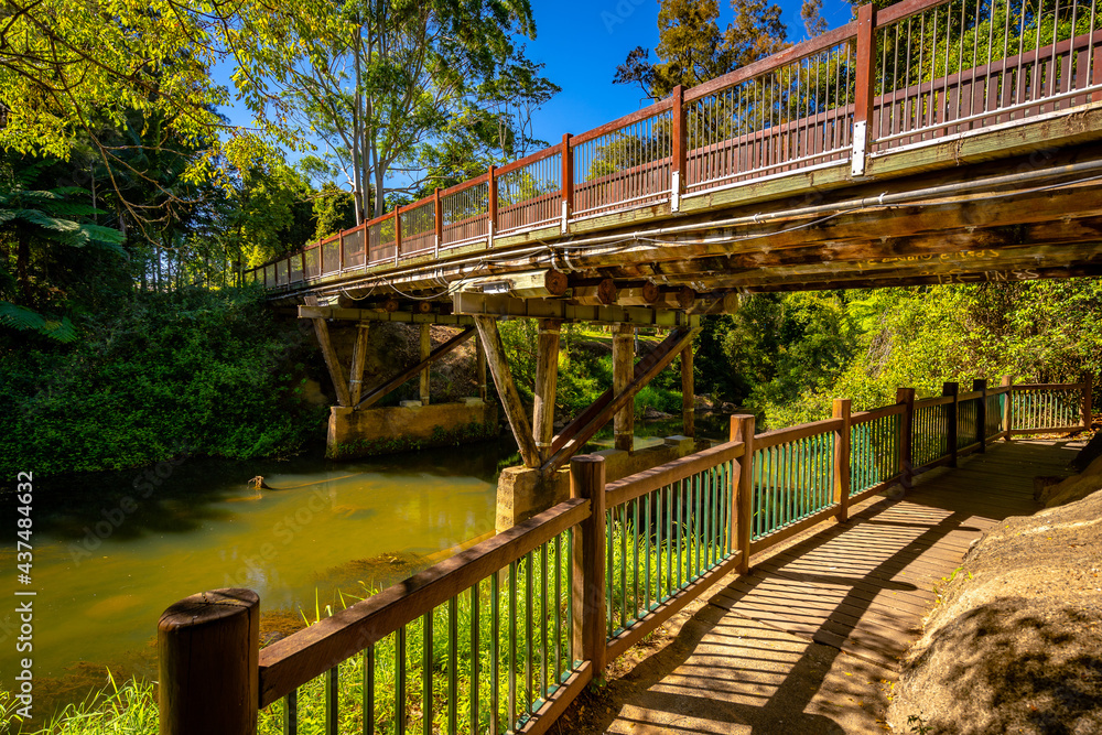 Obraz premium Footpath under the wooden bridge in Eungella National Park, Queensland, Australia