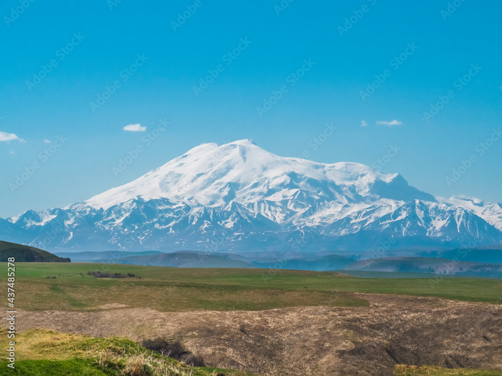 Green grass on the yellow spring alpine meadows of the Gumbashi pass. Snow covered huge mountain Elbrus on horizon against the blue sky. Mountainous, hilly summer landscape of the Caucasus Mountains.