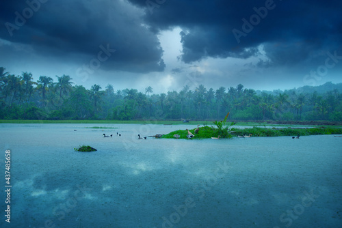 Beautiful scenery rainy day, Landscape Photography - rainy day with cloudy sky, Monsoon rainfall hits Kerala, Beautiful nature photography, Rainfall, Monsoon season photo