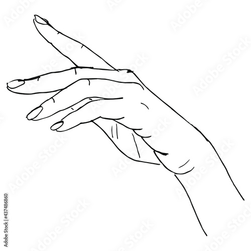 Raised up beautiful female hand in elegant gesture. Hand drawn linear doodle rough sketch. Black silhouette on white background.