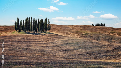 Landscape in Val D Orcia  Tuscany  Italy