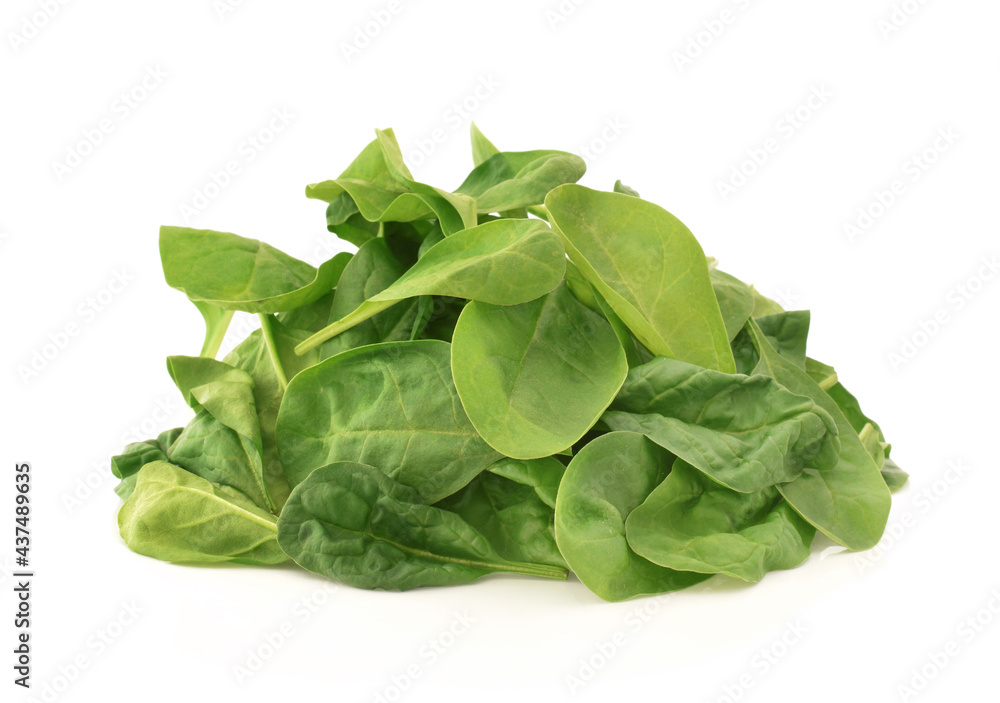 Raw green fresh spinach leaves in bunch closed up isolated on white Raw green fresh spinach leaves in bunch closed up isolated on white