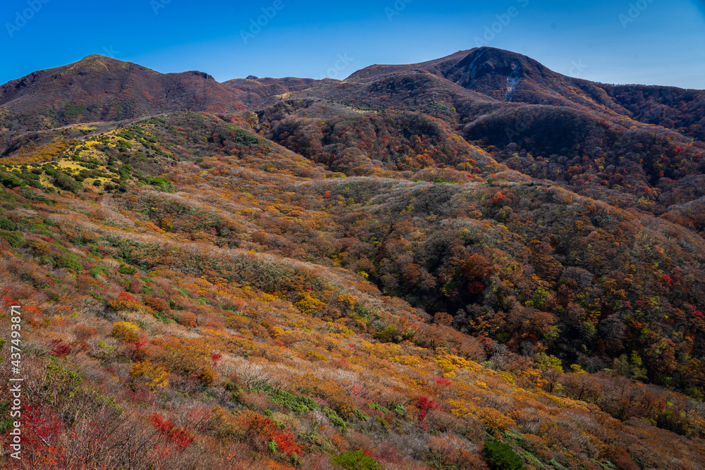 山の紅葉 山の紅葉