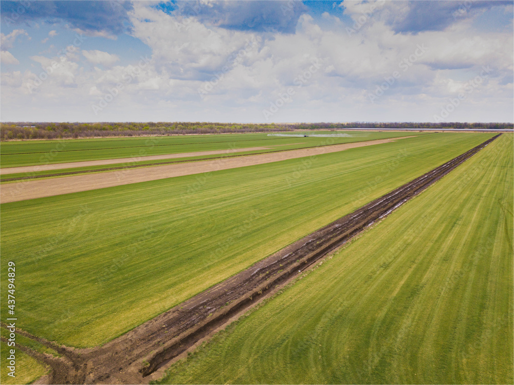 Aerial drone image of tractor spraying soil and young crop in springtime in field. Rostov region. Russia.