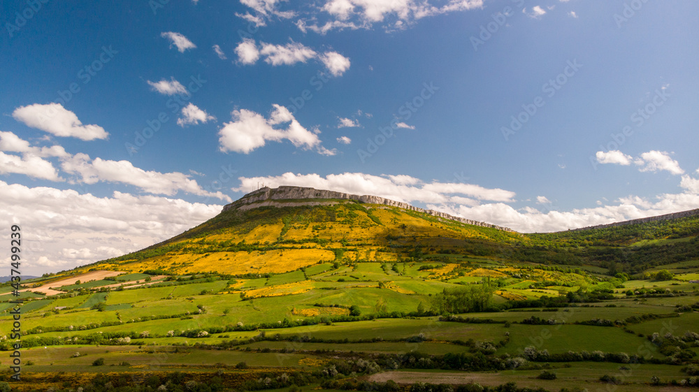 Genista blossom, in the mountains of Northern Spain