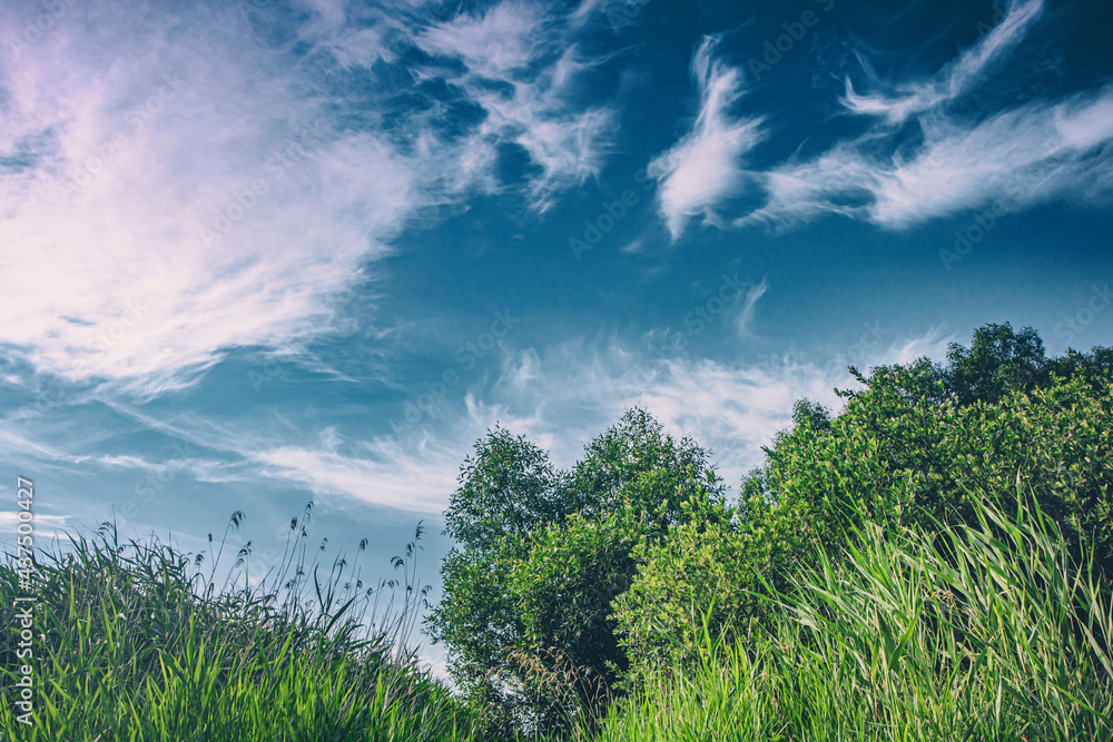 Φωτογραφία Saftig grünes Gras in Wald und Wiesen bei tollem Sommer Wetter und traumgaften, blauen Himmel