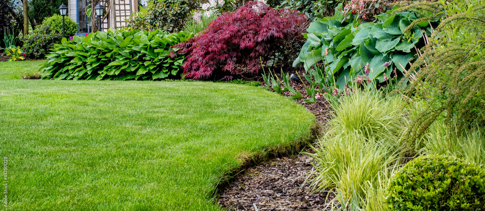 Fototapeta premium Piękny zadbany trawnik w ogrodzie