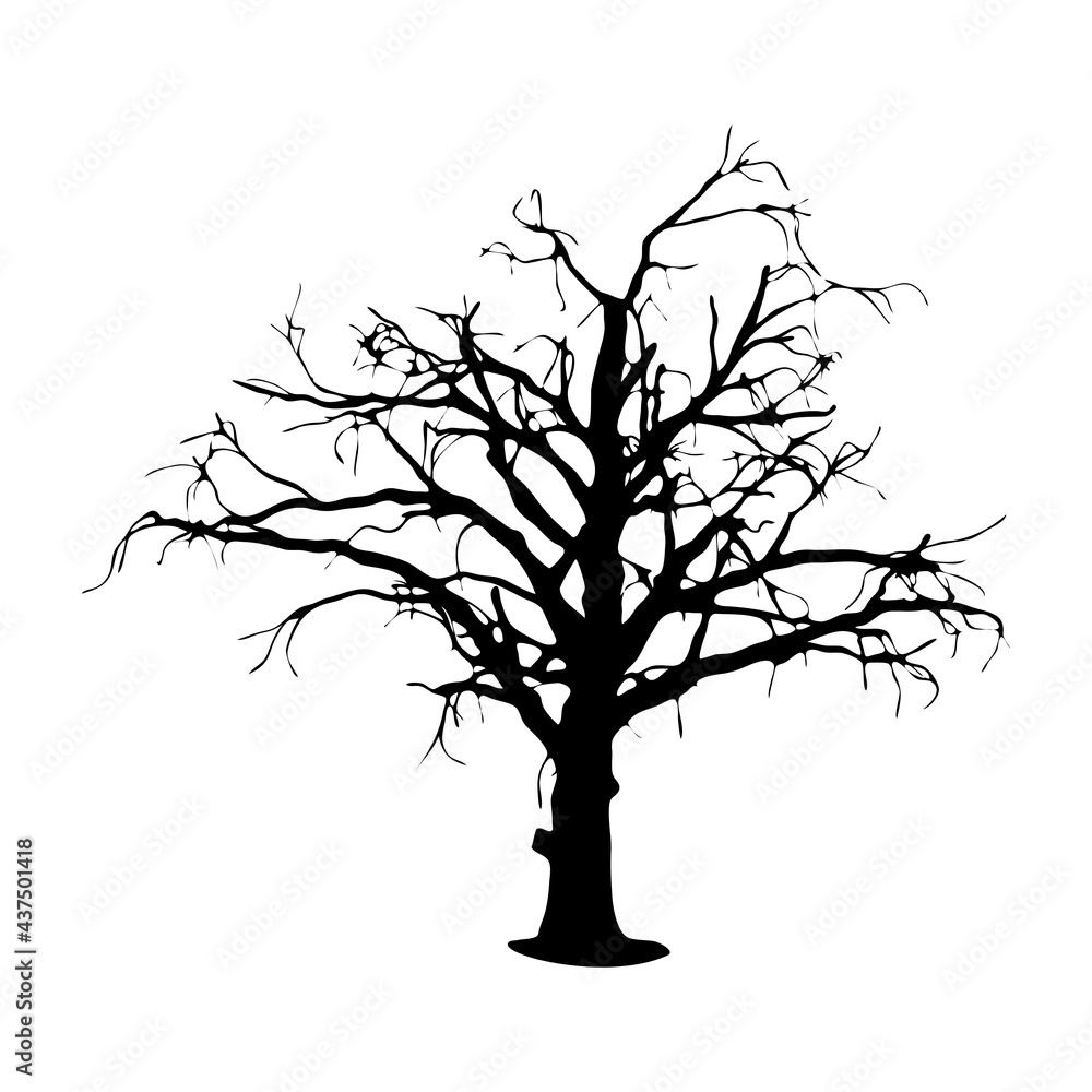 Obraz premium dead Tree silhouette on white background