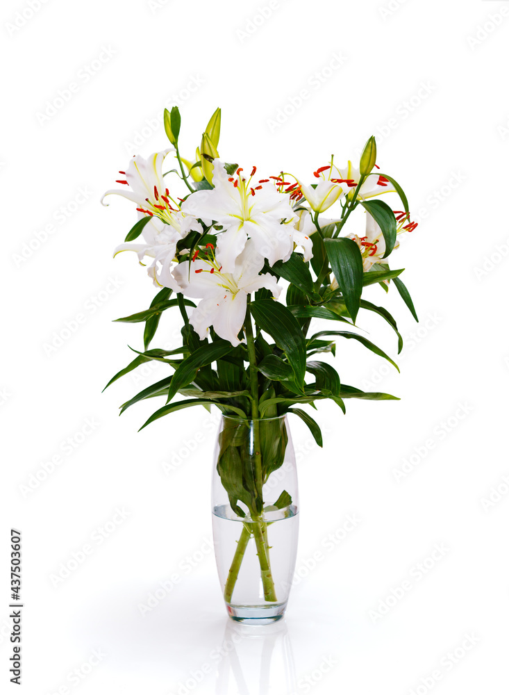 bouquet of white lilies in a glass vase with water isolated on a white background with shadow.