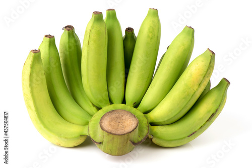 Cavendish banana leaves fruits isolated on white background.