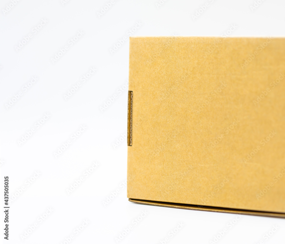 Photographer  of brown cardboard box isolated on white background