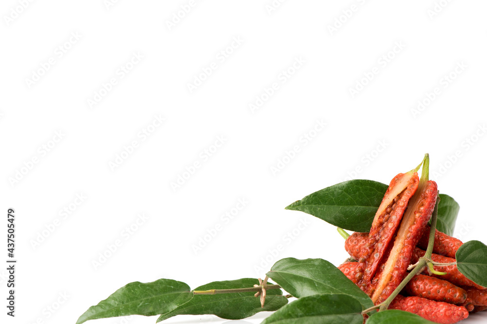 Fototapeta premium Gymnema inodorum fruits and green leaves isolated on white background.