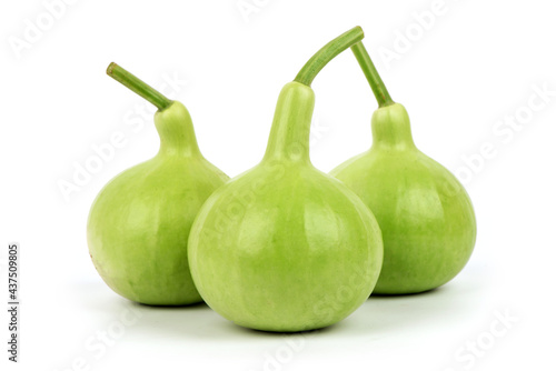 Photography Bottle gourd or lagenaria siceraria fruits isolated on white background