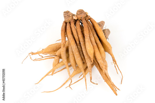 Fingerroot or Galingale rhizome isolated on white background.top view,flat lay.
