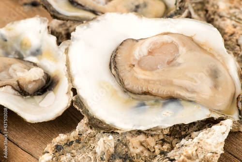 Fresh oyster isolated on white background.