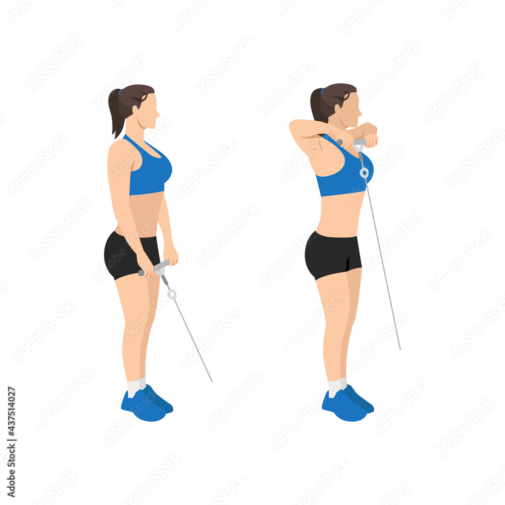 Woman doing Cable upright rows exercise. Flat vector illustration isolated on white background Woman doing Cable upright rows exercise. Flat vector illustration isolated on white background