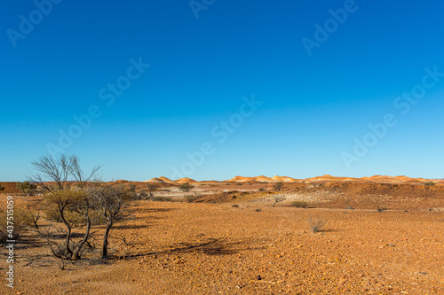 The eroded landscapes around the painted hills, part of an ancient seabed which has been eroded of the past 80 million years. 