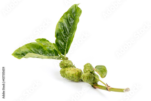 Noni fruits and green leaves isolated on white background. photo
