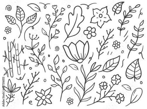 leaf and flower hand drawn doodle vector