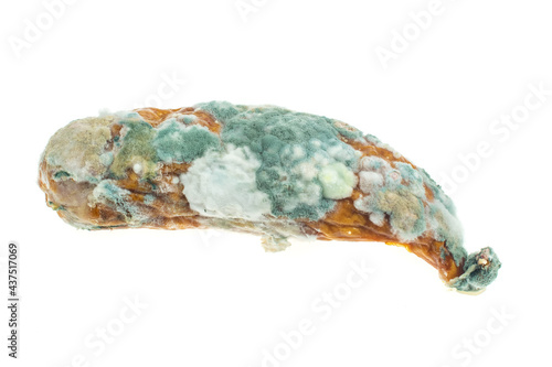 moldy sausage on a white isolated background