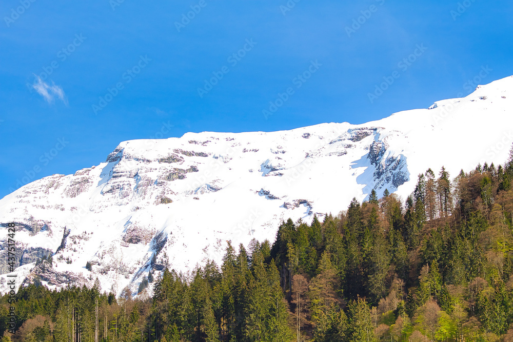 Berglandschaft im Frühling in den Schweizer Alpen