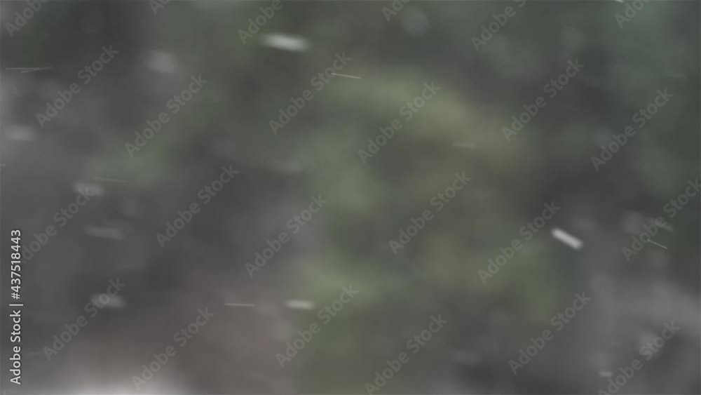 Snowfall on a forest background. Snowfall on a forest background.