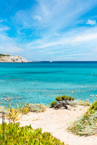 (Focus in the foreground) Stunning view of a coastline bathed by a blurred turquoise, clear sea. Rena Majore is a small seaside village that's located south of Santa Teresa Gallura, Sardinia, Italy.