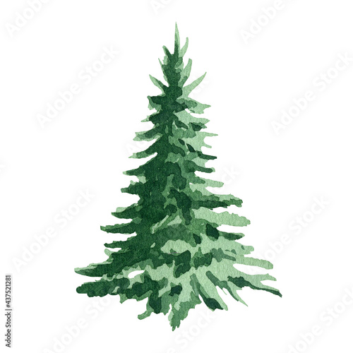 Fir tree watercolor image. Hand drawn realistic lush pine illustration. Green forest plant element. Christmas tree object on white background. Evergreen natural spruce tree. Single fir tree © anitapol