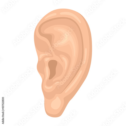 Human ear anatomy cartoon icon. Organ that enables hearing and balance. Deafness.