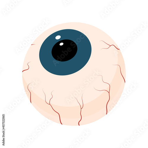 Human eye anatomy cartoon icon. Organ of visual system. Eyeball, pupil, iris clipart.