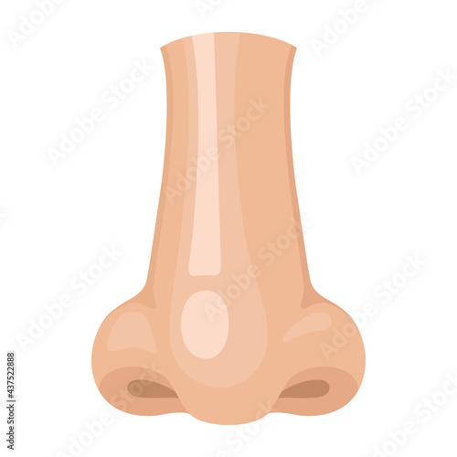 Human nose anatomy cartoon icon. Face part with nostrils. Organ of respiratory and olfactory systems.