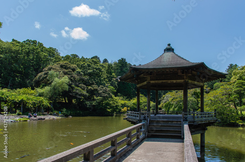 Japanese garden at Shinshoji Temple Narita, Japan photo