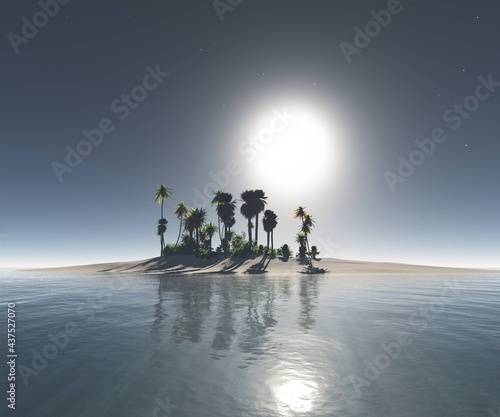 Tropical island with palm trees at night under the moon  3d rendering