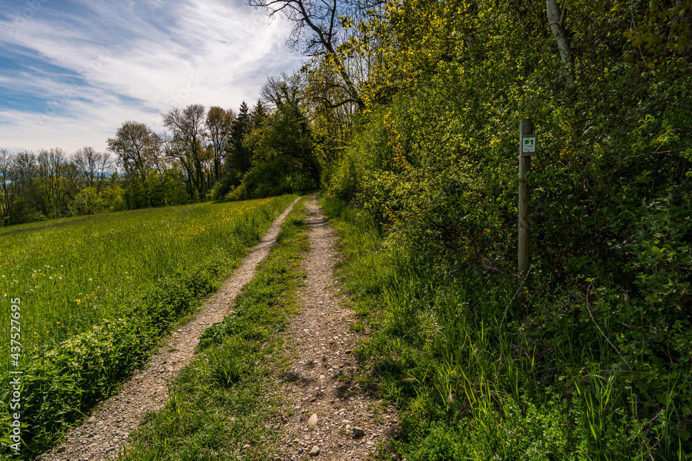 Along the premium hiking trail 