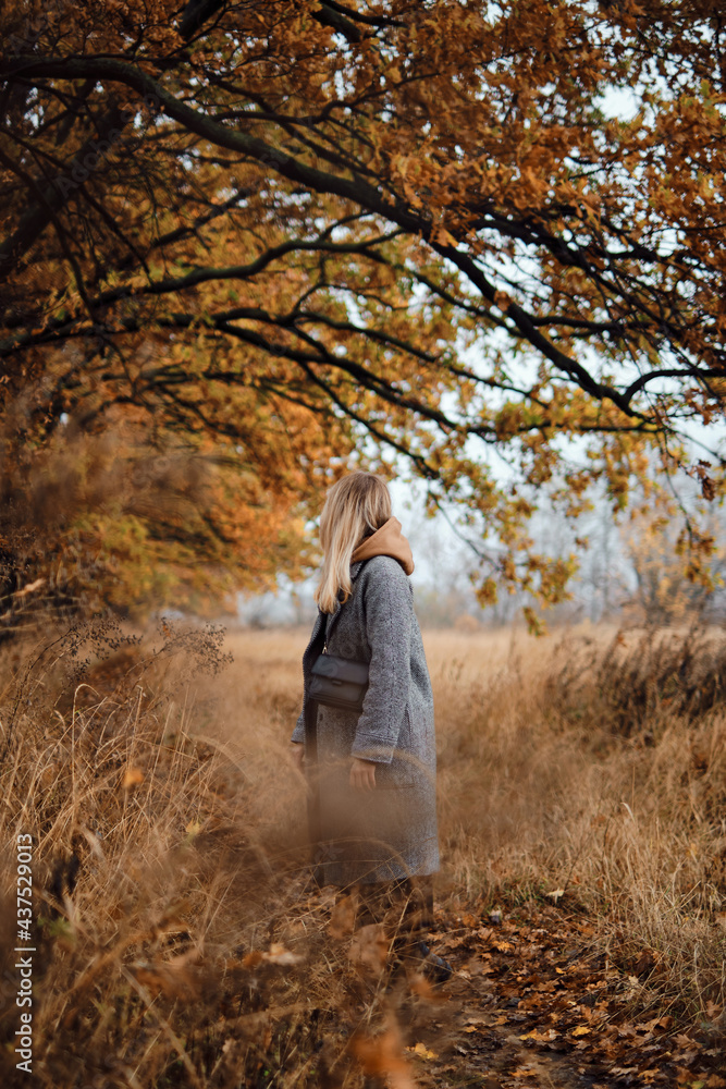 Girl walks in the autumn park. Beautiful autumn landscape, fall foliage. Outdoor activities. Autumn walk in nature. Enjoy the weather and fresh air. Travel and exploration Girl walks in the autumn park. Beautiful autumn landscape, fall foliage. Outdoor activities. Autumn walk in nature. Enjoy the weather and fresh air. Travel and exploration