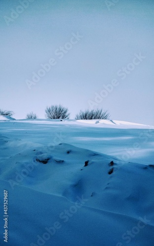 snow dunes and small hedgehogs in the form of bushes © Natalie Dmay